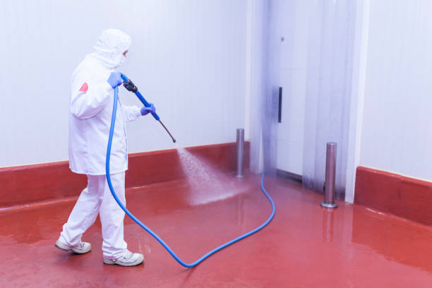 Boat and Dock Cleaning in Huntsville, AR